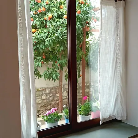 Iris House - Casa Indipendente A Holiday home
